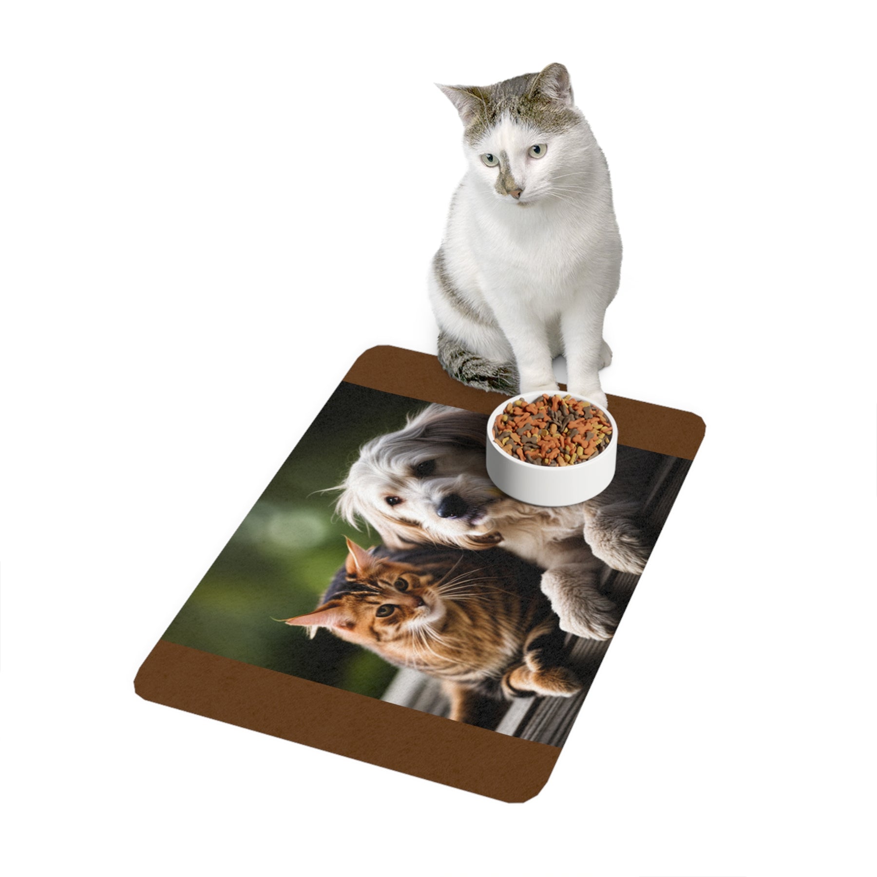 Pet Food Mat (12x18)