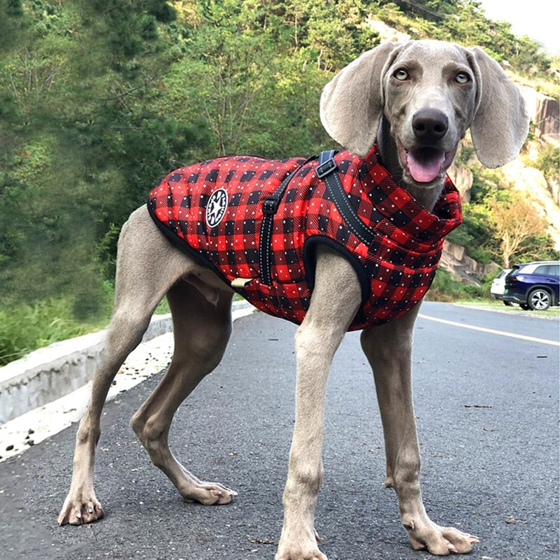 Warm Fleece Waterproof Jacket