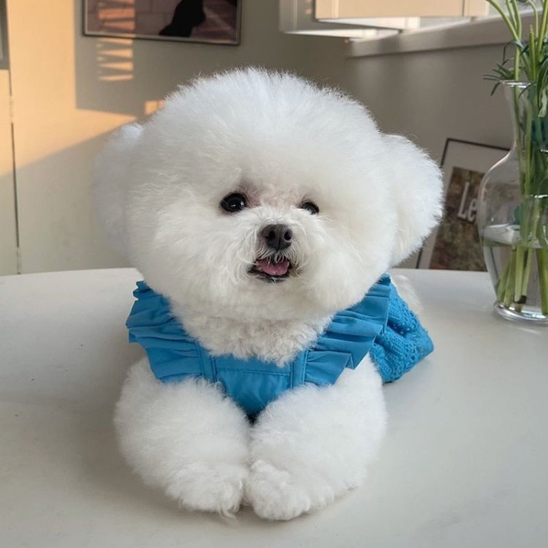 Fashion Puppy Lace Skirt