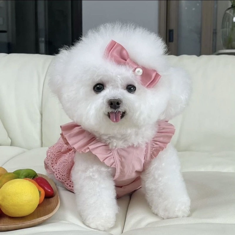 Fashion Puppy Lace Skirt