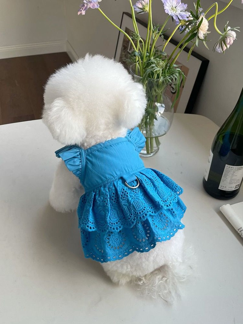 Fashion Puppy Lace Skirt