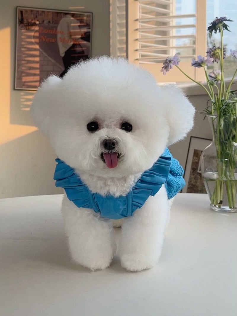 Fashion Puppy Lace Skirt