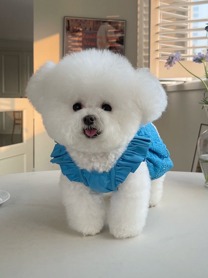 Fashion Puppy Lace Skirt