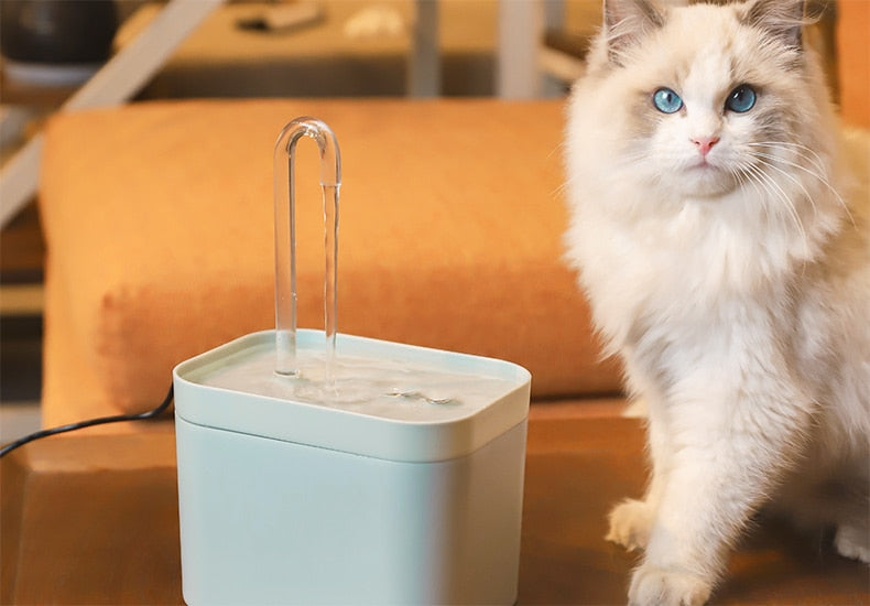 Ultra-Quiet Pet Water Fountain