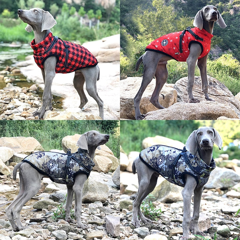 Warm Fleece Waterproof Jacket