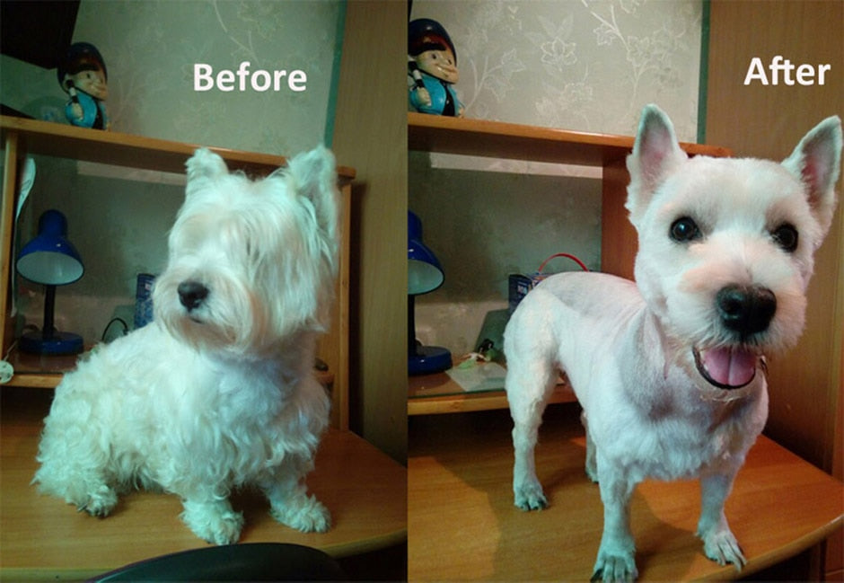 Pet Hair Clippers