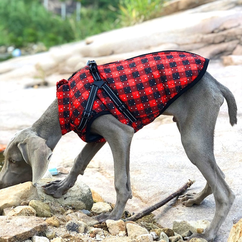 Warm Fleece Waterproof Jacket