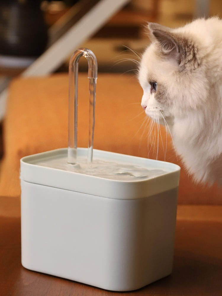 Ultra-Quiet Pet Water Fountain