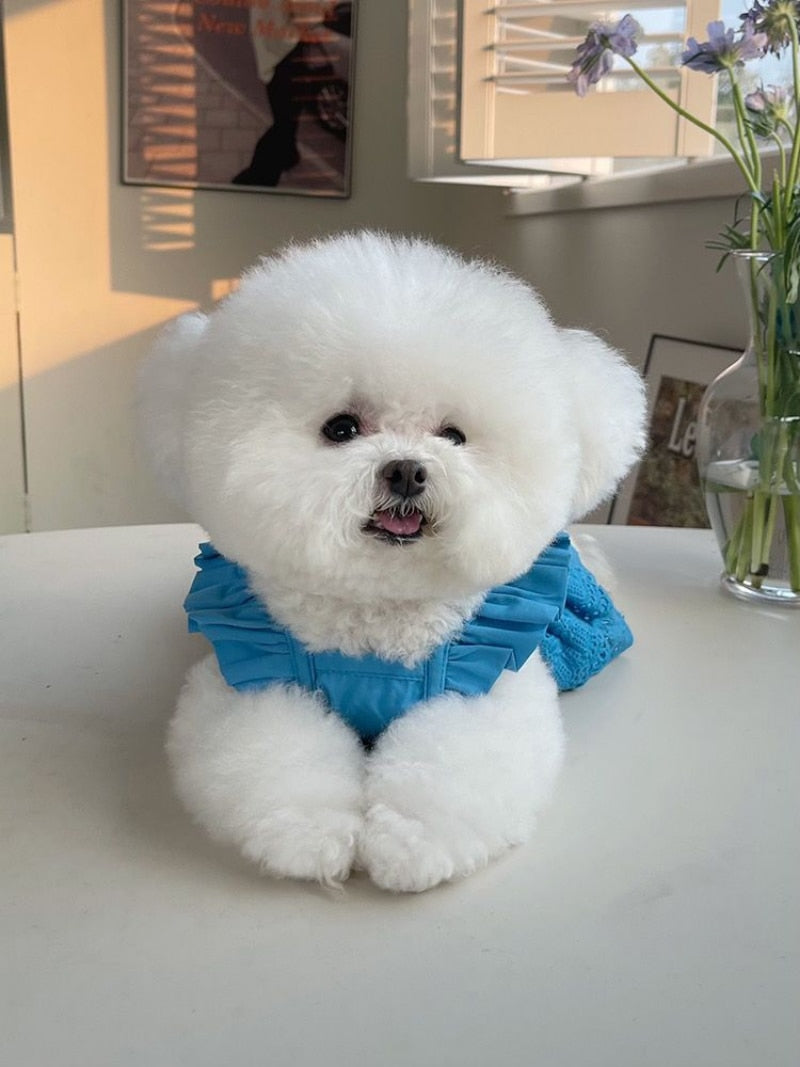 Fashion Puppy Lace Skirt