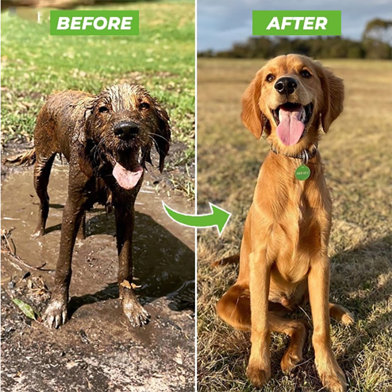 High-pressure Pet Shower Gun