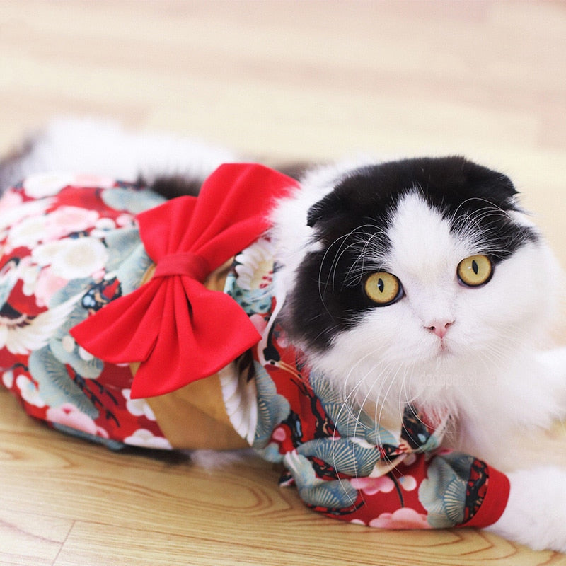 Summery Japanese Pet Kimono