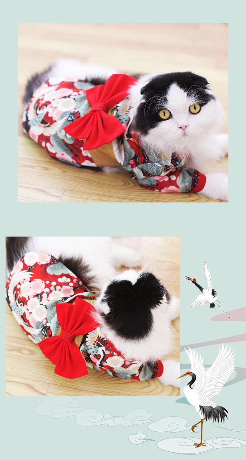Summery Japanese Pet Kimono