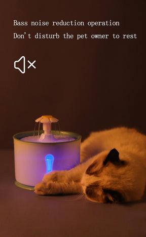 Pet Drinking Water Fountain