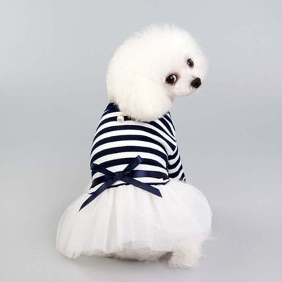 Princess Pet Tulle Dress