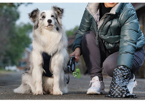 Degradable Pet Poop Bag Dispenser