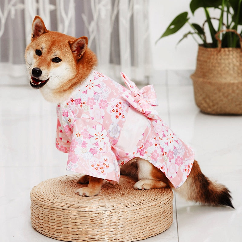 Summery Japanese Pet Kimono