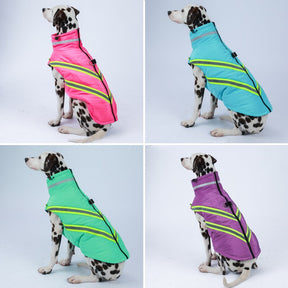 Waterproof Winter Dog Jacket