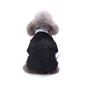 Cute Tailcoat Pet Suit