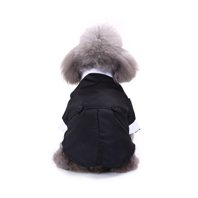 Cute Tailcoat Pet Suit