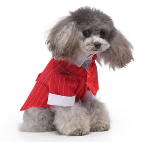 Cute Tailcoat Pet Suit