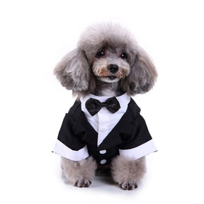 Cute Tailcoat Pet Suit