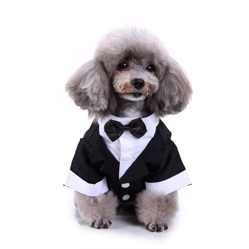 Cute Tailcoat Pet Suit
