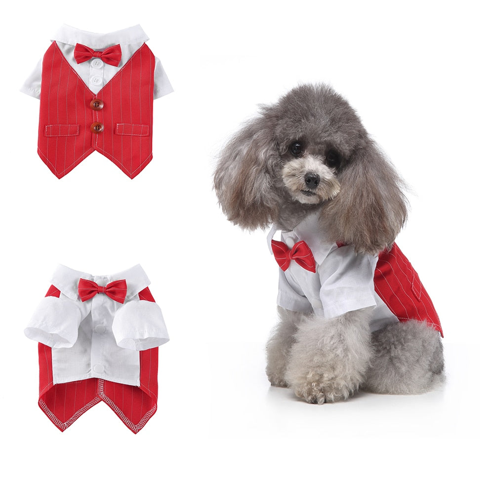 Cute Tailcoat Pet Suit