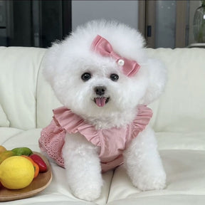 Fashion Puppy Lace Skirt