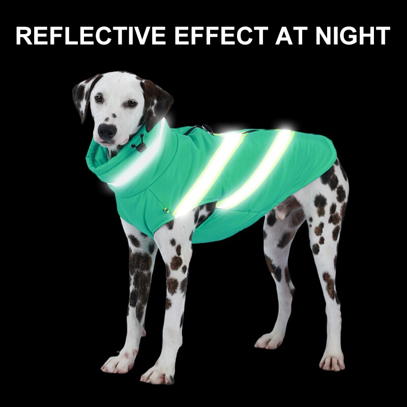 Waterproof Winter Dog Jacket