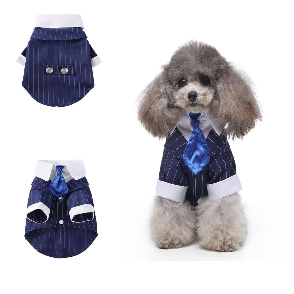 Cute Tailcoat Pet Suit