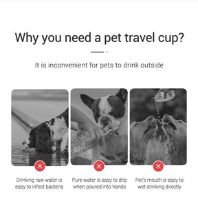 Portable Pet Water Bottle