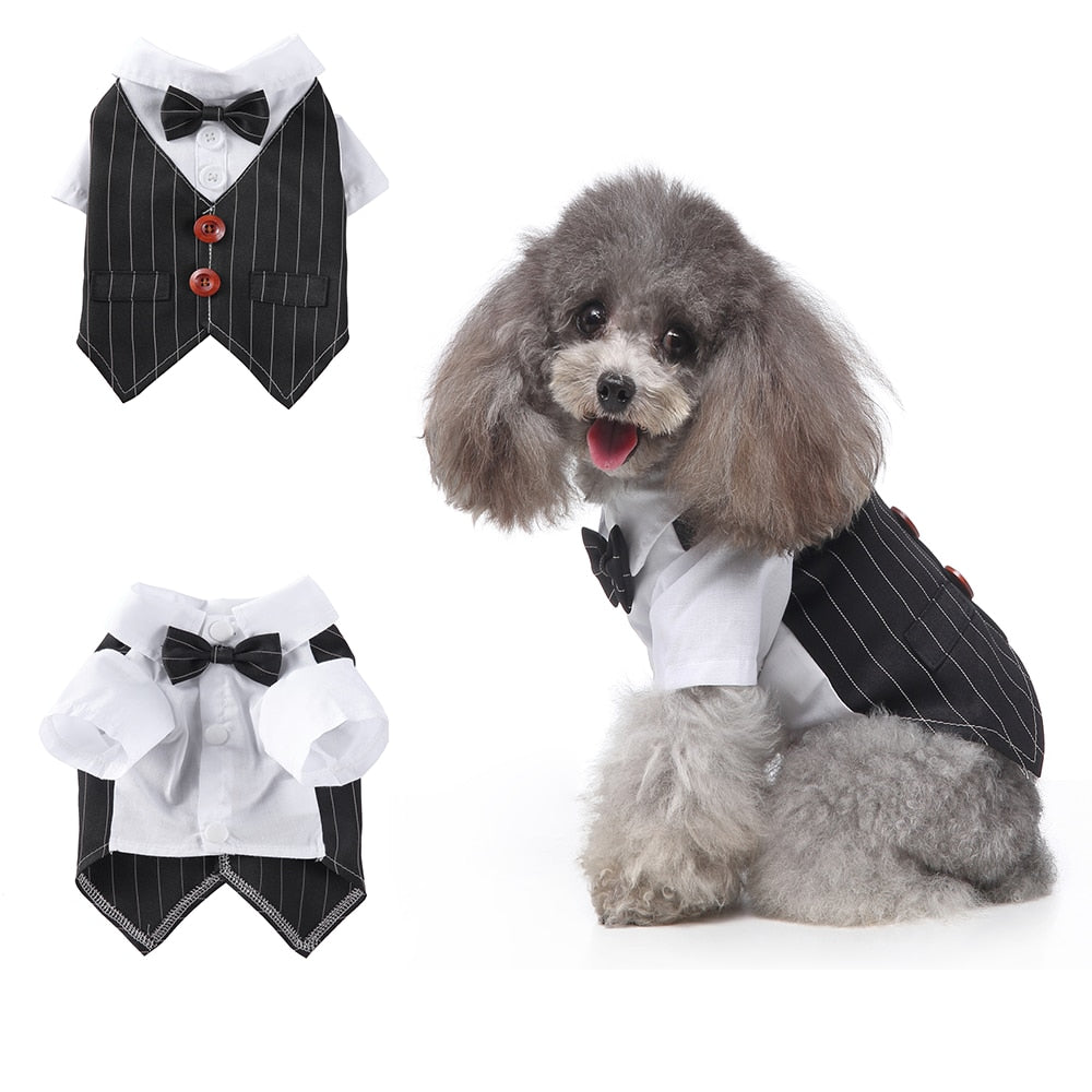 Cute Tailcoat Pet Suit