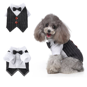 Cute Tailcoat Pet Suit