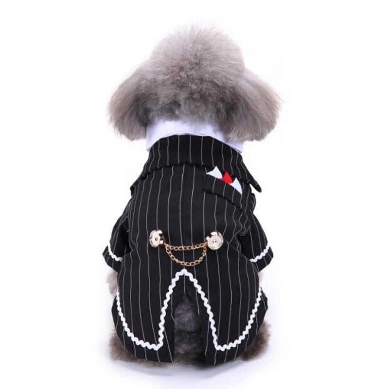 Cute Tailcoat Pet Suit