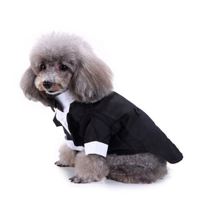 Cute Tailcoat Pet Suit