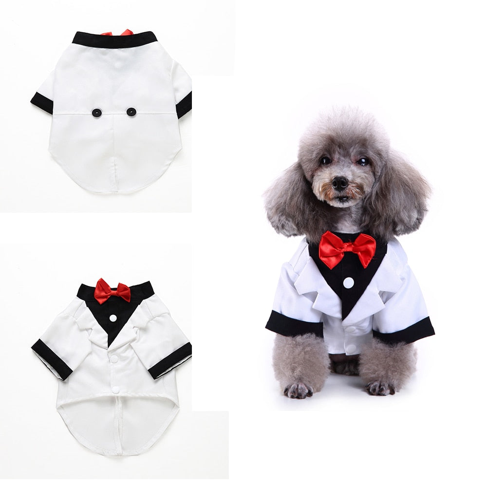 Cute Tailcoat Pet Suit