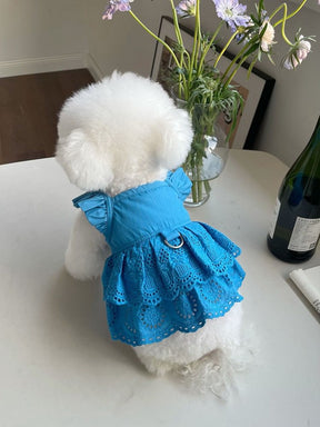 Fashion Puppy Lace Skirt