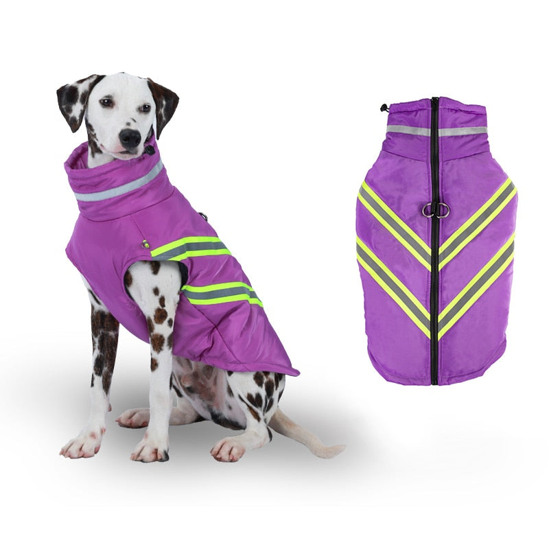 Waterproof Winter Dog Jacket