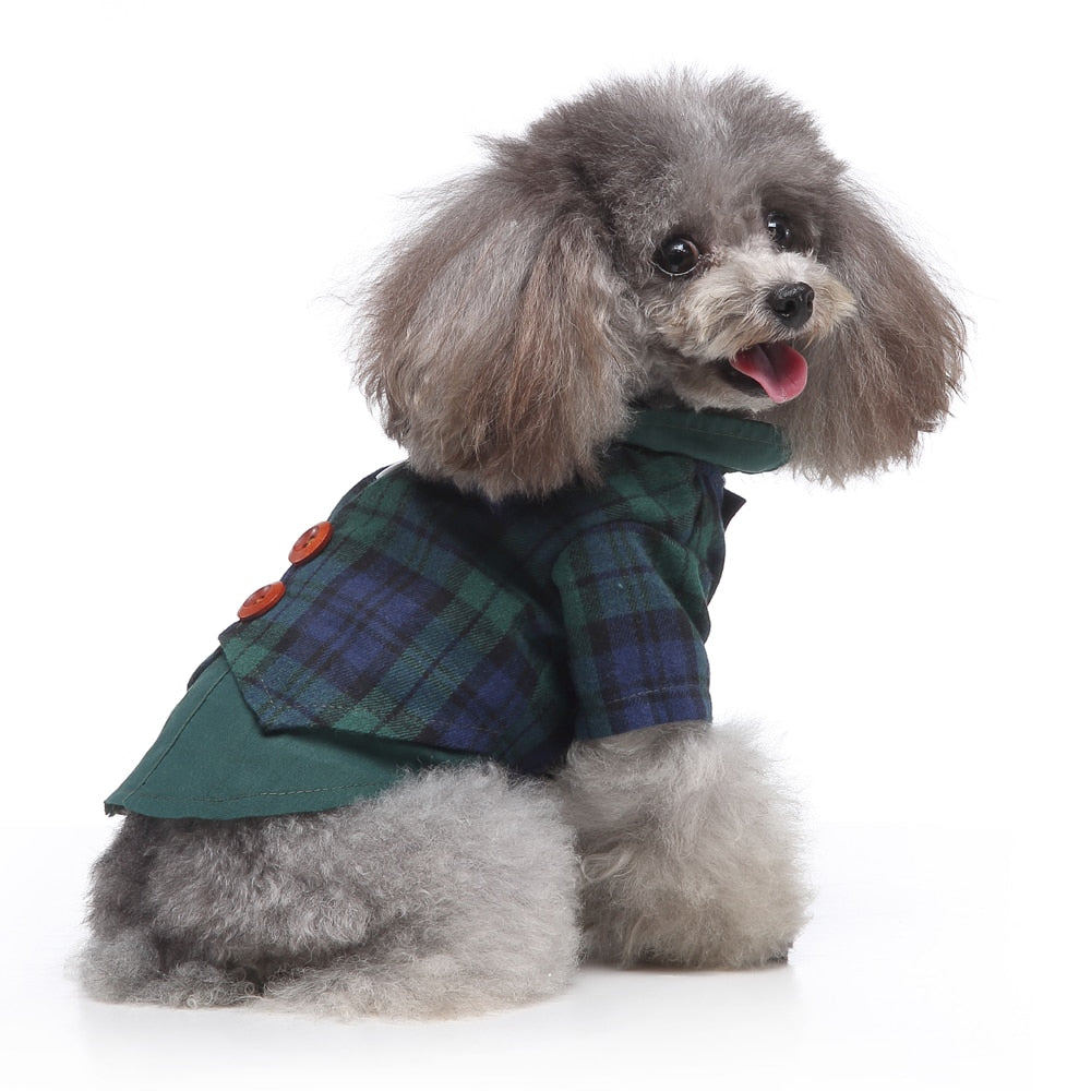 Cute Tailcoat Pet Suit