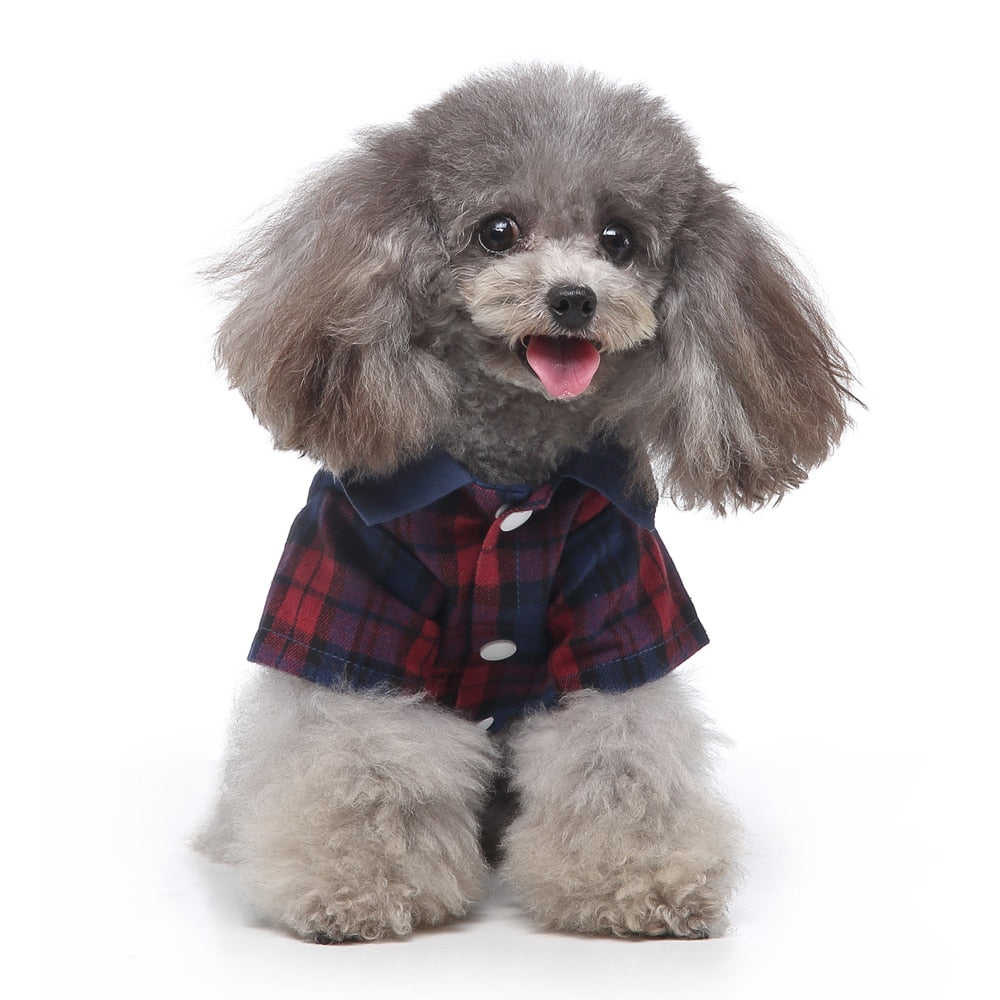 Cute Tailcoat Pet Suit