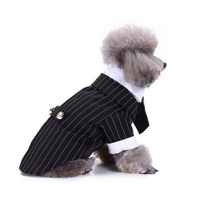 Cute Tailcoat Pet Suit
