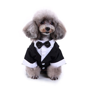 Cute Tailcoat Pet Suit