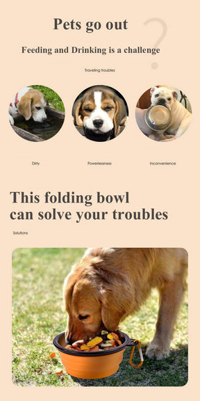Portable Folding Pet Bowl