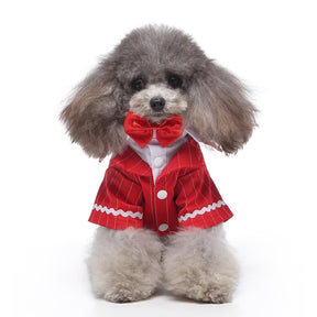 Cute Tailcoat Pet Suit