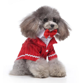 Cute Tailcoat Pet Suit