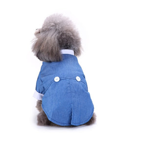 Cute Tailcoat Pet Suit