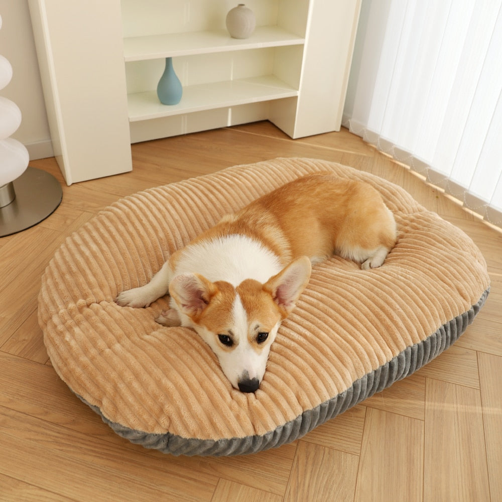 Padded Cushion Dog Bed