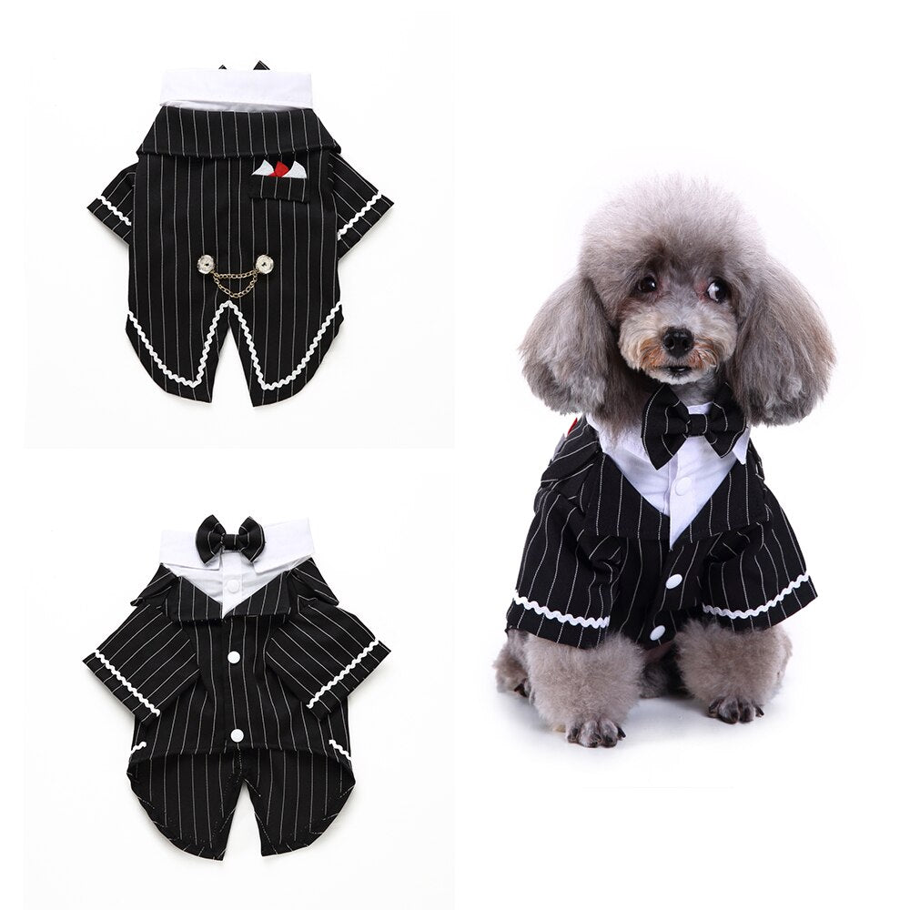 Cute Tailcoat Pet Suit