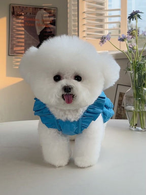 Fashion Puppy Lace Skirt