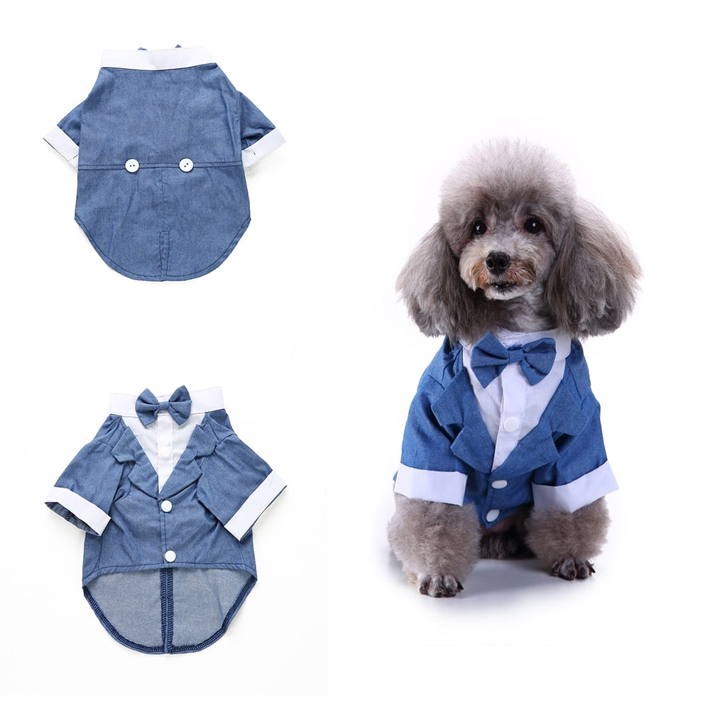 Cute Tailcoat Pet Suit